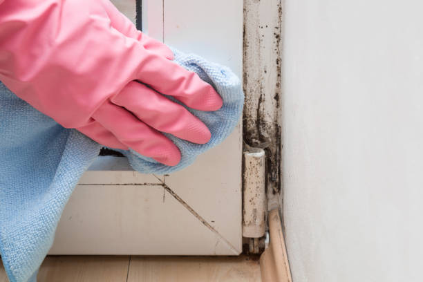 Mold Remediation for Vacation Homes in Selma, AL